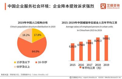 2020上半年中国企业服务发展全景 社会经济咨询服务洞察