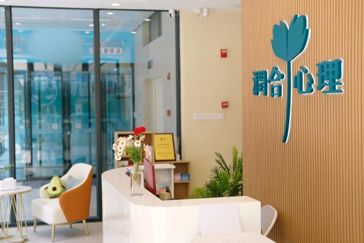 心理咨询、健康咨询与社会经济咨询服务的边界与协同